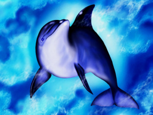 イルカ　３